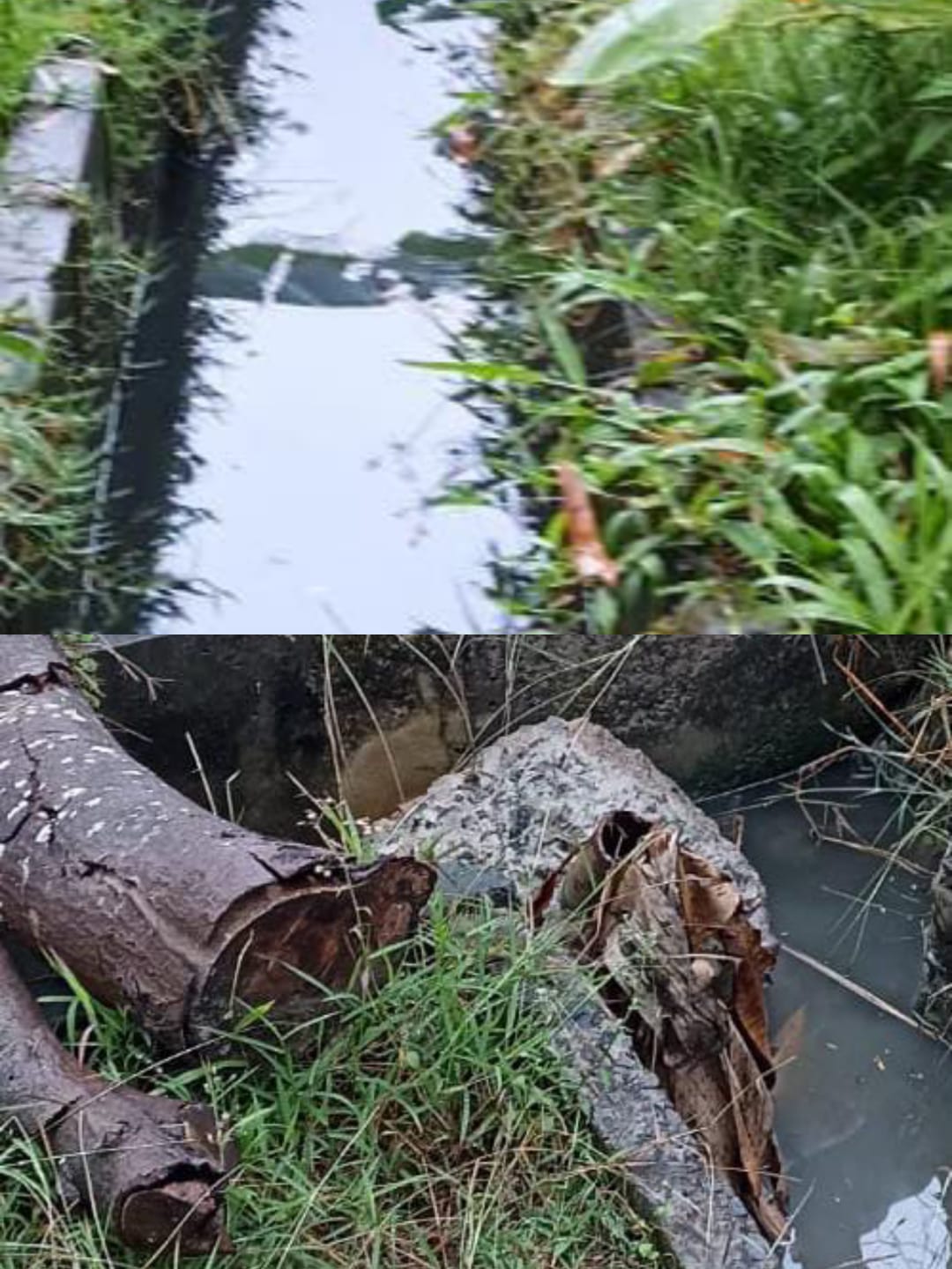 918e85a39270e44494ced90ce62161979f9fbe39d6c0aac0bb5be9f3ef5c30fa.0